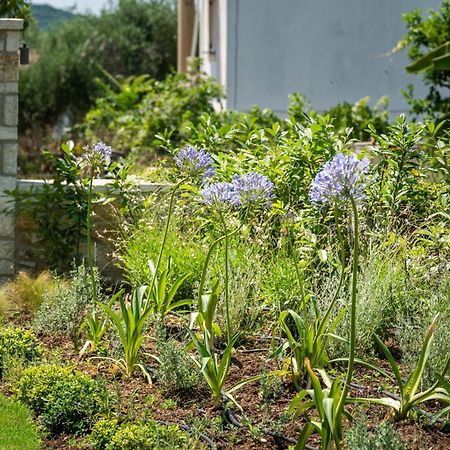 Syvota Gardens公寓 外观 照片